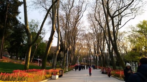 Take Relaxing Stroll in Gulhane Park